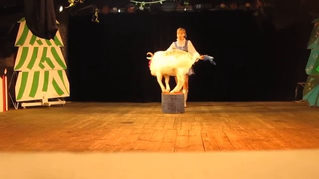 8(965)380-13-11 ➽ Дрессированные животные на детский праздник смотреть онлайн