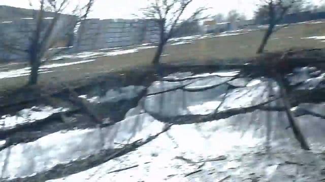 Заяц живет на территории завода Кнауф Красногорск смотреть онлайн