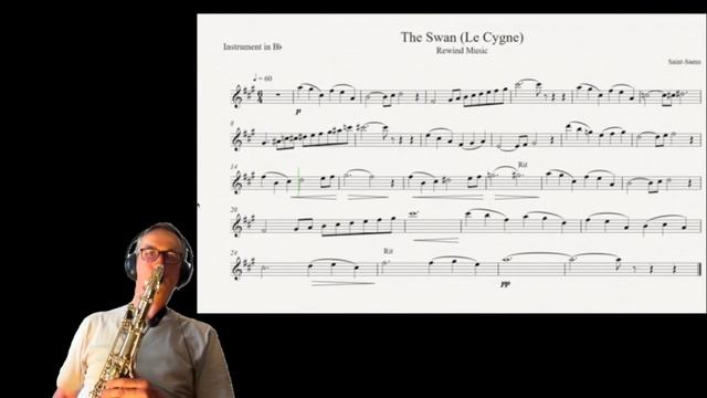 The Swan? ? | Camille Saint-Saëns | Tenor saxophone смотреть онлайн
