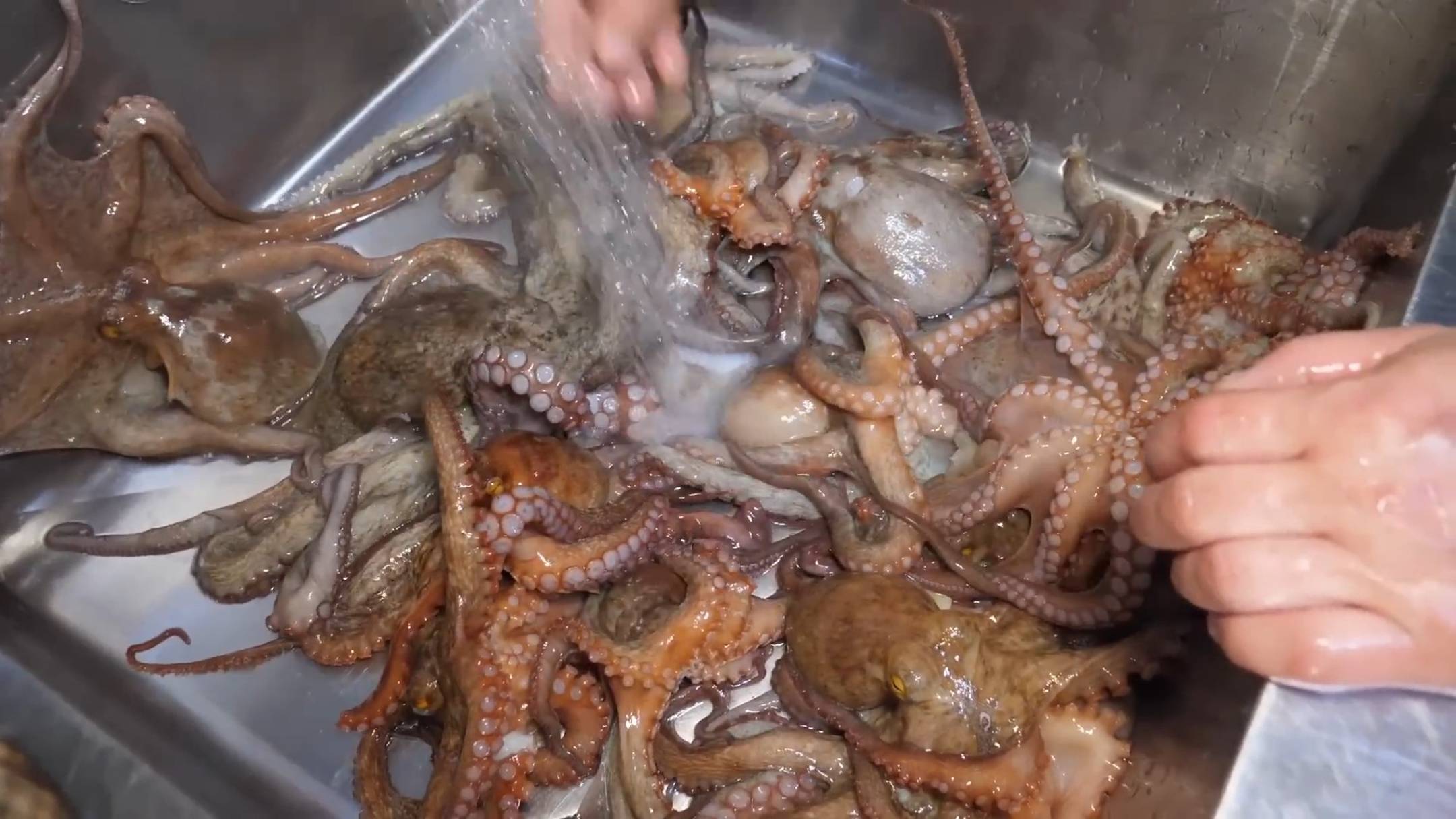 Вкуснейшие блюда из морепродуктов \ Азиатская кухня \ Корейская еда смотреть онлайн