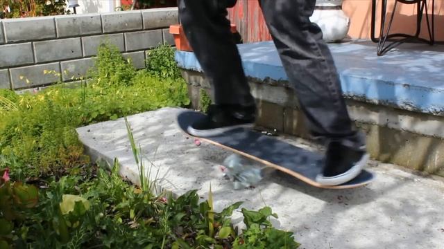 HOW TO BUILD A BALANCE BOARD смотреть онлайн