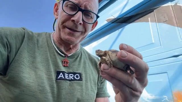 Miracle Hatching Born! Live Stream’in Sunday 4/23 @ 9am ??