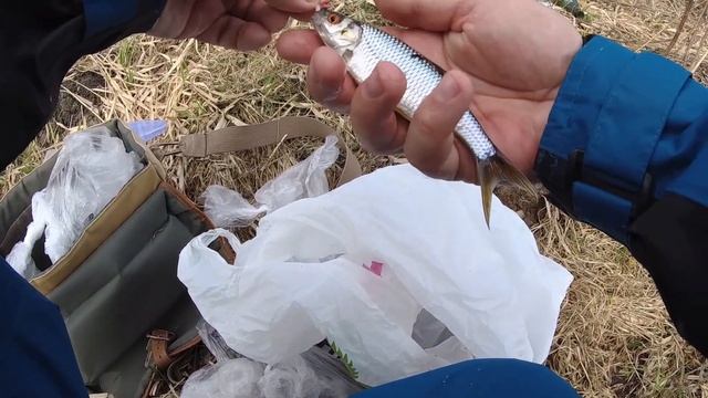 Таскаю красноперку на удочку! Рыбалка в Нижегородской области смотреть онлайн