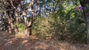 Благоустройство Казенного сада: эксклюзив от КЕРЧЬ СЕГОДНЯ