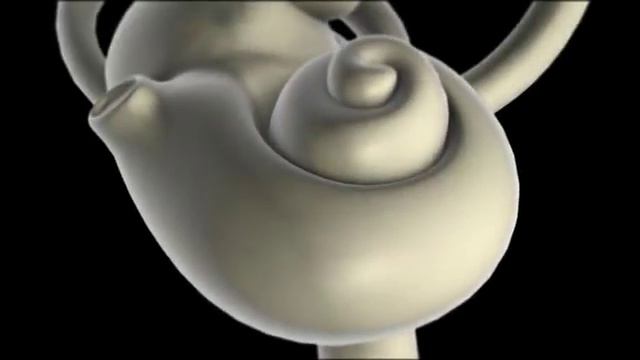 Ear Organ of Corti (Full Version) смотреть онлайн