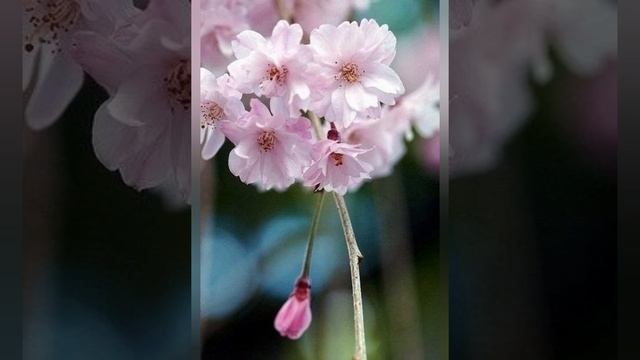 В ожидании ... смотреть онлайн