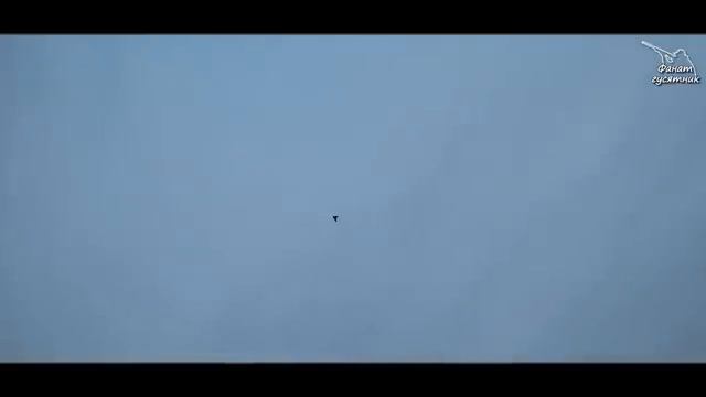 Охота на гуся и селезня С МАРУСЬКОЙ\ Проверка на вшивость\ День второй. смотреть онлайн