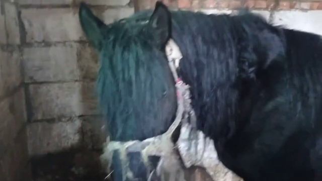 Наше хозяйства