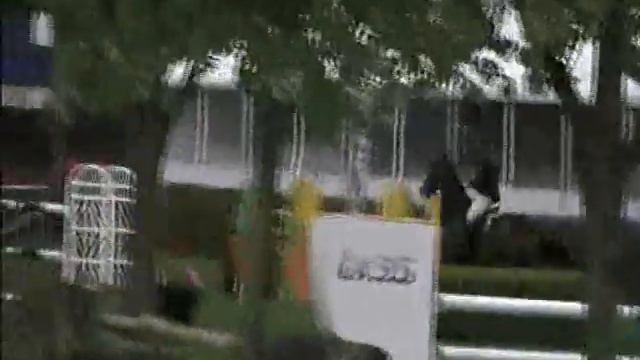 Winnetou `Sporthorses from Holland` FOR SALE peterbulthuis смотреть онлайн