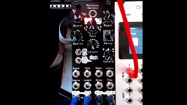Repetita Versio - Initial buffering procedure смотреть онлайн