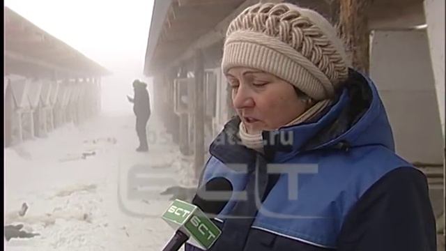 КРОЛИКИ смотреть онлайн