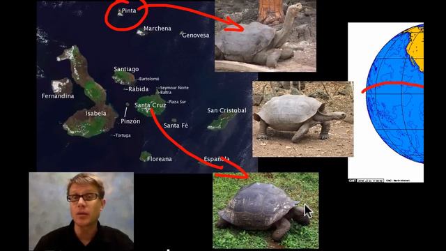 Evidence of Evolution: смотреть онлайн