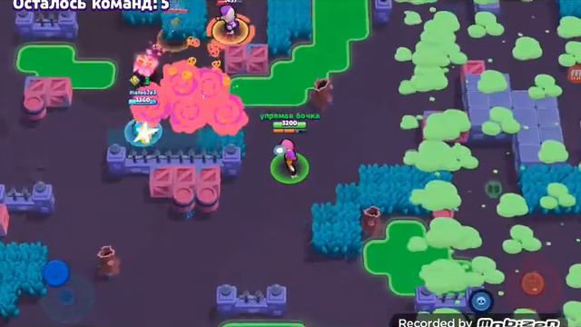 Самое ОБЫЧНОЕ видео по бравл старс смотреть онлайн