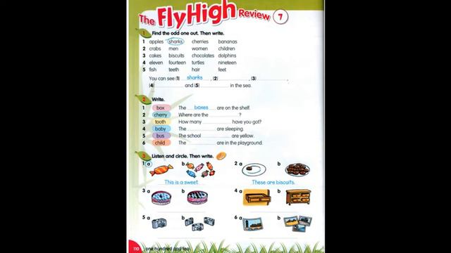Відеоурок Fly High 2 My Fly High Diary p. 110-111 смотреть онлайн