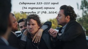 Содержание 223 - 225 серий (36 турецкая) второго сезона сериала "Зимородок" (РФ, 2023 2024)