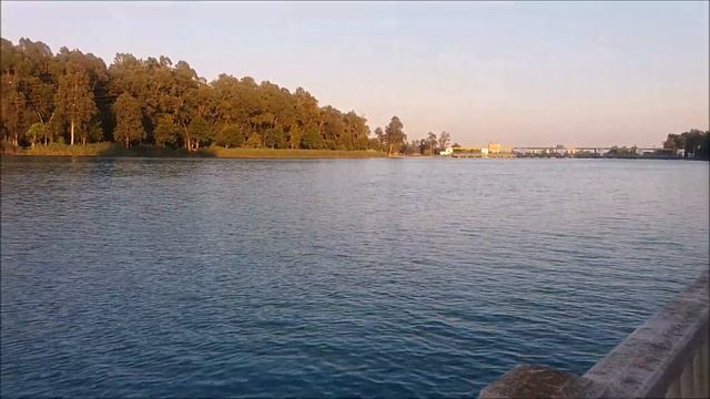 Теперь живу одна. Конфликта не будет. Красивая прогулка. смотреть онлайн