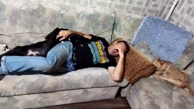 Собак обычно любят больше жён, поскольку собаки лают только на чужих☝? смотреть онлайн