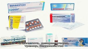 Что делать, если собака трясется и дрожит?