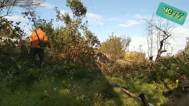 КАК БЫСТРО РАСЧИСТИТЬ участок от поросли и кустарников? смотреть онлайн