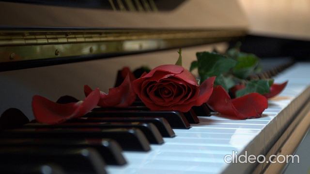 relaxing music 2020 .Piano un Parfum à sentir смотреть онлайн