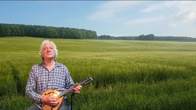 The Wind that Shakes the Barley смотреть онлайн