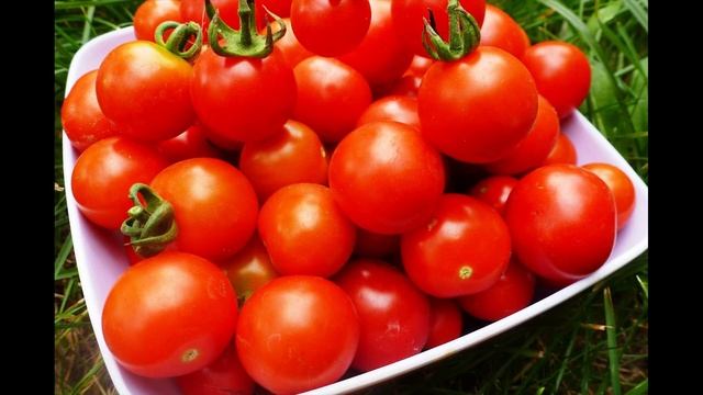 С какого возраста можно давать ребенку помидоры? смотреть онлайн