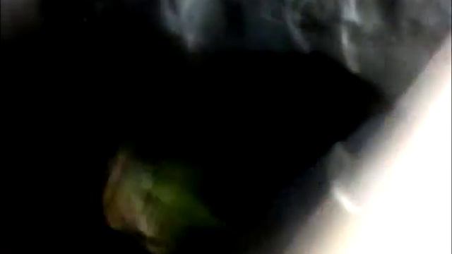 Получение багажа в аэропорту Домодедово. смотреть онлайн