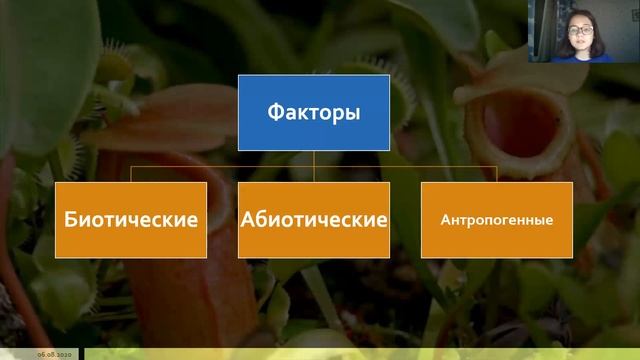 Подготовка к олимпиаде. Лекция 5. Экологические факторы смотреть онлайн