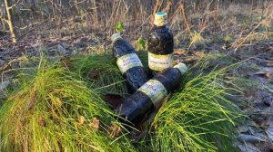 Панацея родом с Урала.(Вытяжка березовая,Дегтярка,Берестовка,Деготь)Напитки специального назначения