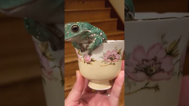 Ну привет смотреть онлайн