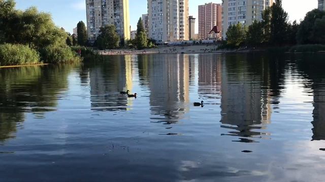 Кому успокоить нервы - вам сюда! Оболонь, Киев