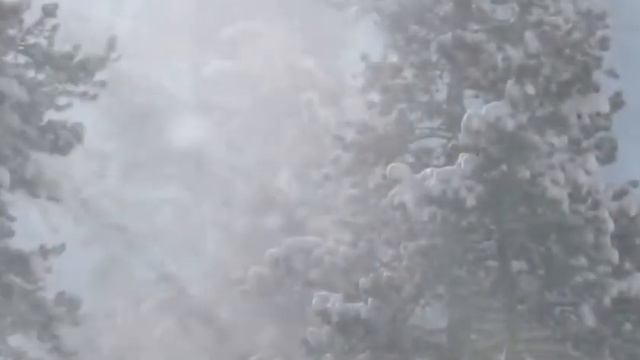 Песня. Виза жизни. Исполнение и аранжировка Андрей Моргунов. Слова Вальдемар Ильг смотреть онлайн