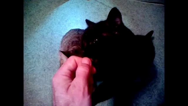 Секреты Творческого Процесса