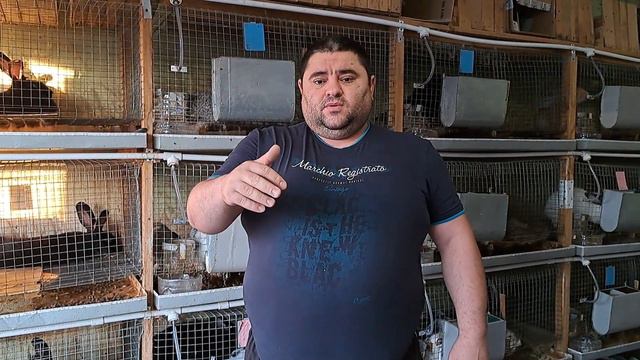 Новые ниппельные поилки, полный отстой смотреть онлайн