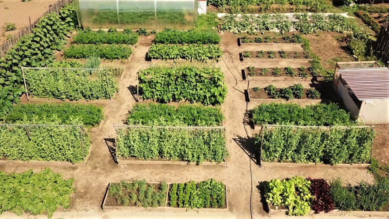 Экскурсия на супер огород мечты 2020 смотреть онлайн