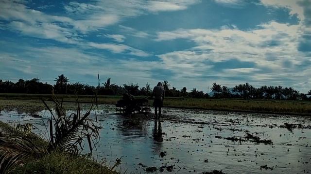 One Day Trip to The Sunrise of Java #ssuntvy смотреть онлайн