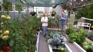 Как получить 30 килограмм томатов с 1 м²? Высадка томатов в грунт. Марина Рыкалина советует.