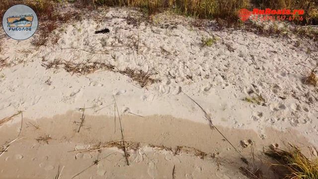 ТУМАН НА ИВАНЬКОВСКОМ ВОДОХРАНИЛИЩЕ смотреть онлайн