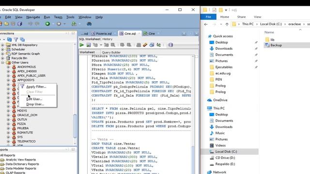 Exportar e Importar Base de Dato de ORACLE y SQL DEVELOPER смотреть онлайн