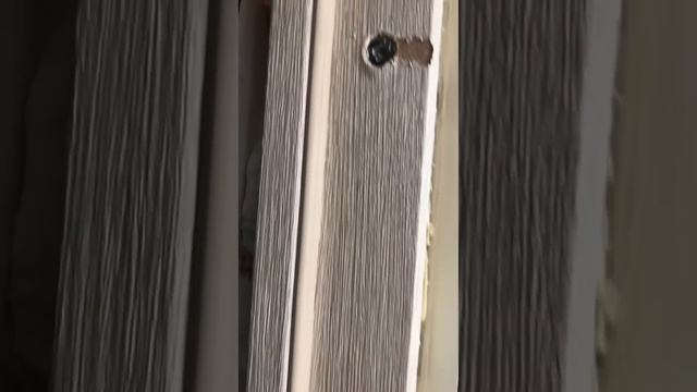 Монтаж межкомнатной двери Как сделать межкомнатную дверь самостоятельно Ошибки начинающих переплата смотреть онлайн