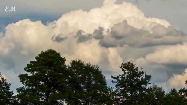 Ильдар Аляутдинов - Прямой путь смотреть онлайн