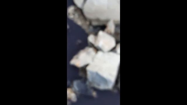 Сенсация Сушества из ада смотреть онлайн