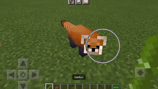 мод на красные панды в майнкрафт 1.17.2 🎮