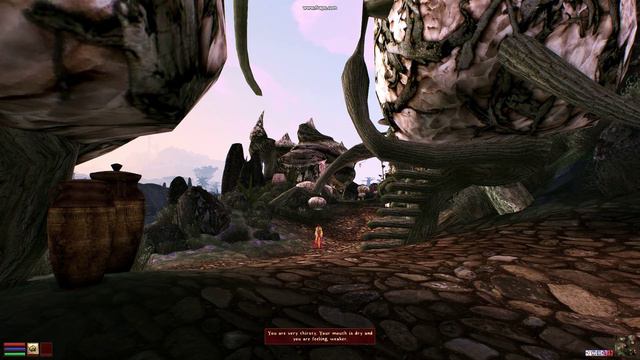 Morrowind MGE Sweetfx смотреть онлайн