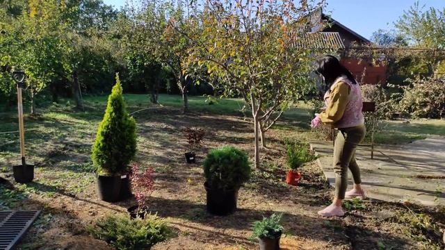 ЛАНДШАФТНЫЙ ДИЗАЙН УЧАСТКА СВОИМИ РУКАМИ САД С НУЛЯ | Посадка растений в грунт смотреть онлайн