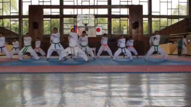 Seminario Técnico De Karate-Do Shotokan Ryu
