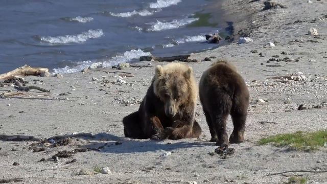 What They Just Discovered Under Frozen Ice Shocked The Whole World