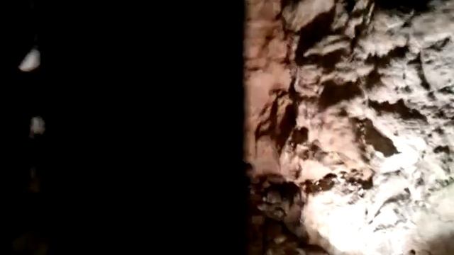 Trenino Populonia Parco di San Silvestro смотреть онлайн