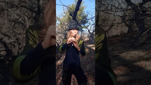 El Condor, Полет Кондора ( cover by whistle) смотреть онлайн