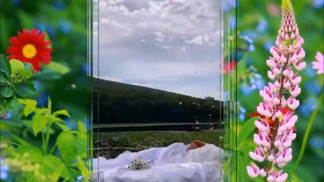 ??? ОЧЕНЬ КРАСИВАЯ ПЕСНЯ О ЛЮБВИ! - ЗАЧЕМ ТЕБЯ ПРИДУМАЛА? - ИСП. СВЕТЛАНА АБРАМОВА ??? смотреть онлайн